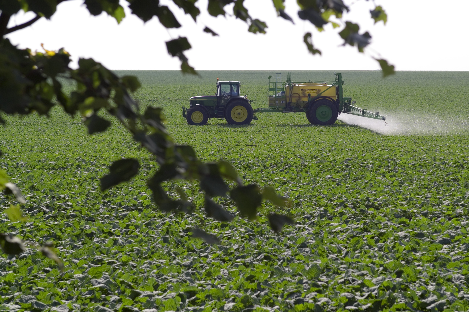 Les pesticides, un fardeau économique